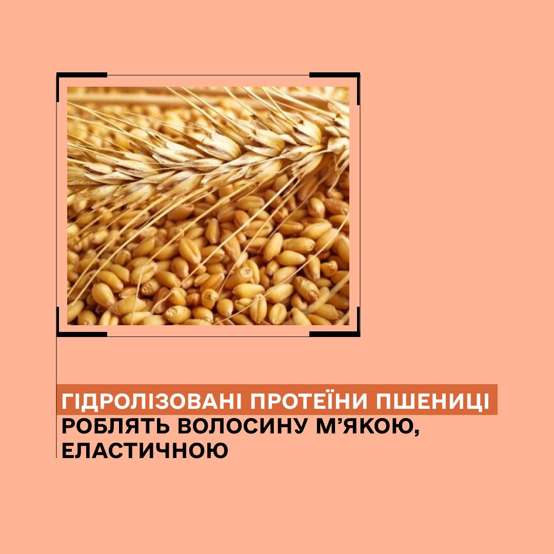 Набір для реконструкції сухого пошкодженого волосся серії Y1 Plus Sinergy