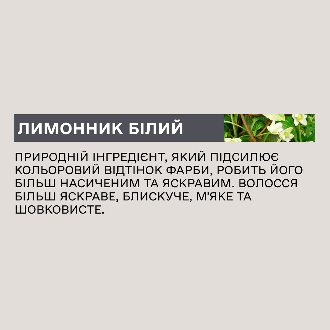 Крем-фарба для волосся Sinergy №6/2 Фіолетовий темно-русий 100 мл