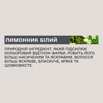 Крем-фарба для волосся Sinergy №6/2 Фіолетовий темно-русий 100 мл