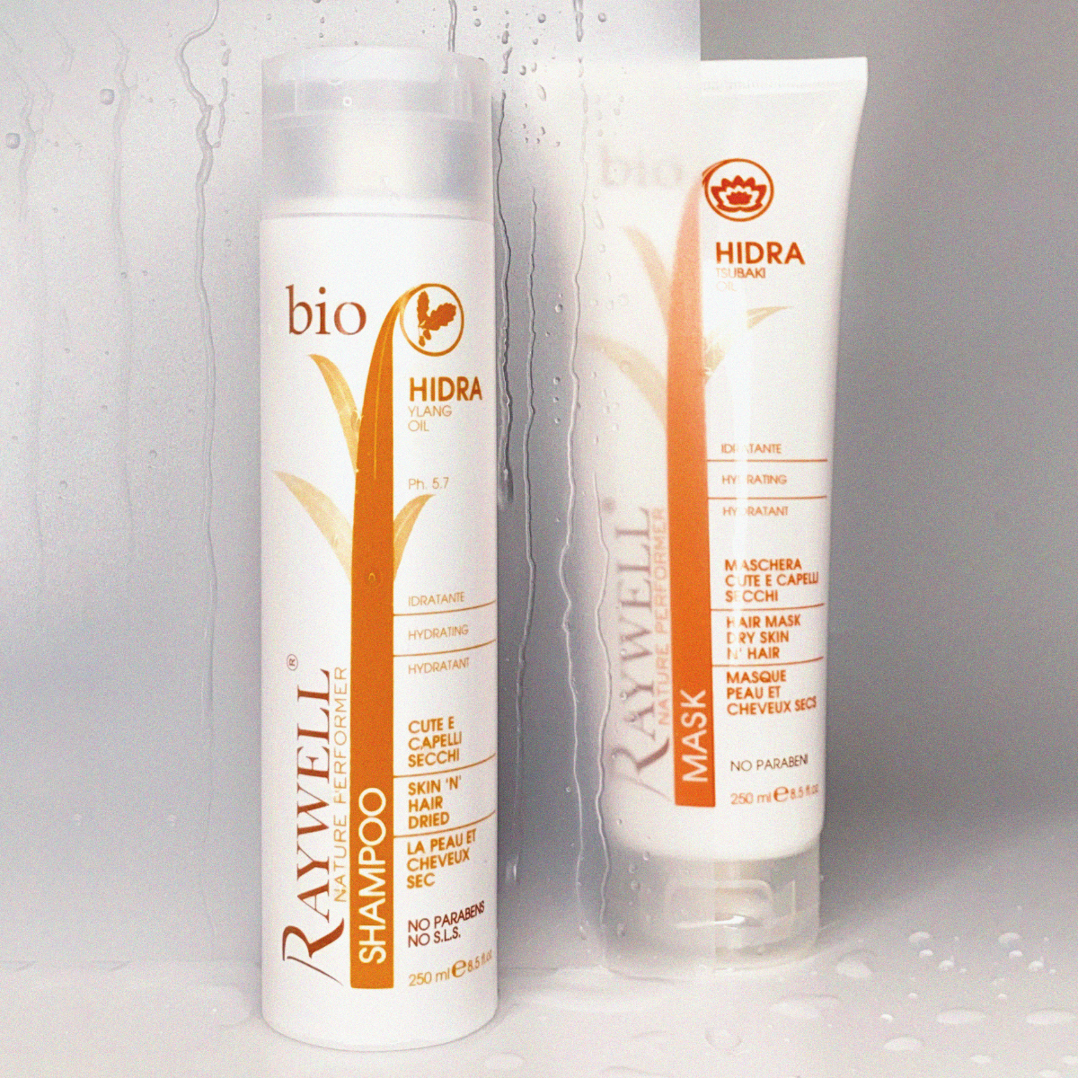 Міні-набір для зволоження сухого волосся BIO HIDRA RAYWELL